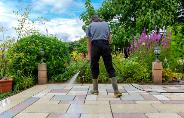 Best Spring Cleaning  in Leisure Village West, NJ